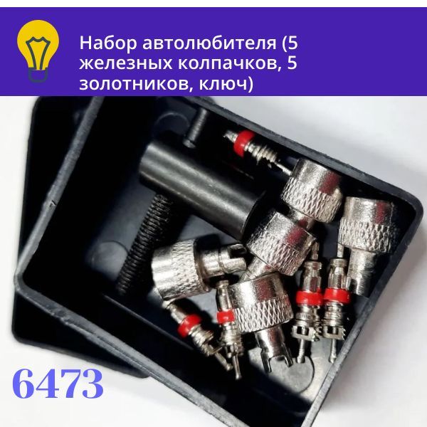 6473 Набор для шин №2 5 металлических колпачков 5 коротких золотников ключ 2