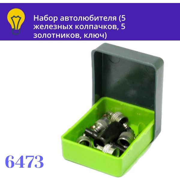 6473 Набор для шин №2 5 металлических колпачков 5 коротких золотников ключ 3