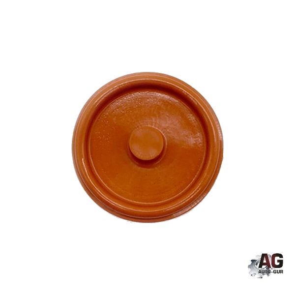 AG002450L Мембрана клапанной крышки General Motors 55556284 3
