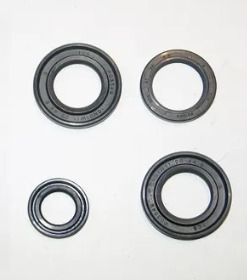 Ремкомплект ALFA ROMEO 147 2000-,ALFA ROMEO Spider 2006-,ALFA ROMEO156 2002-2005 (САЛЬНИКИ ОРИГИНАЛ)